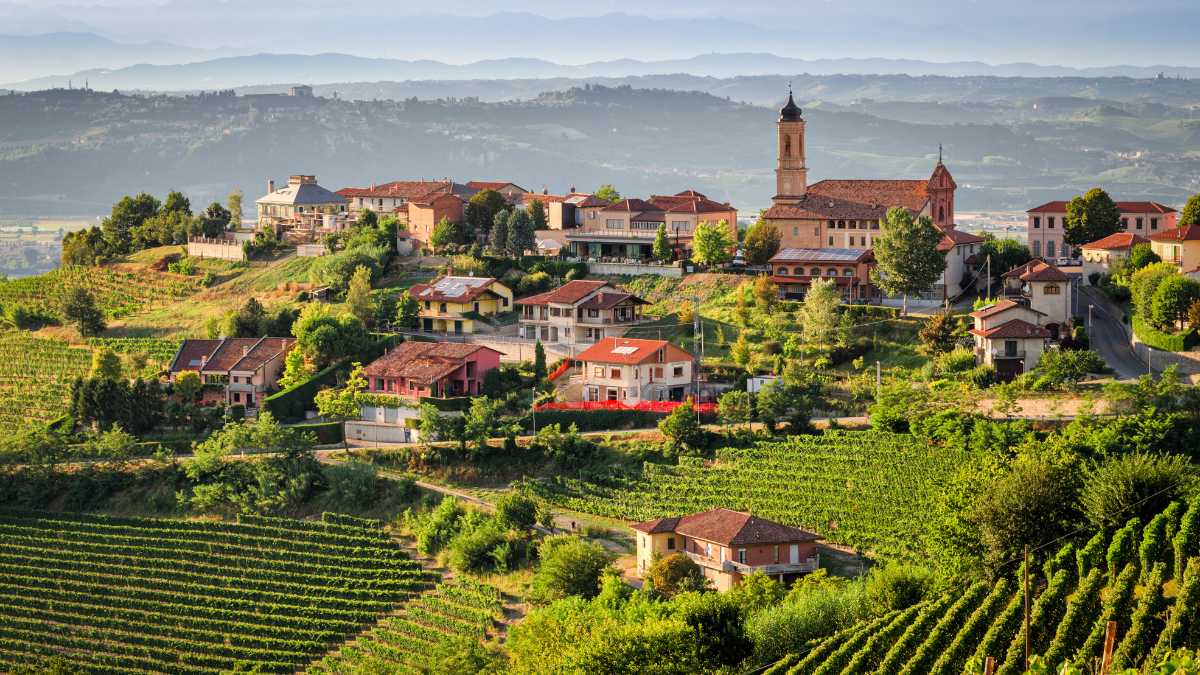 Cosa Vedere a Langhe e Barolo: Un Viaggio tra Storia, Vigneti e Sapori
