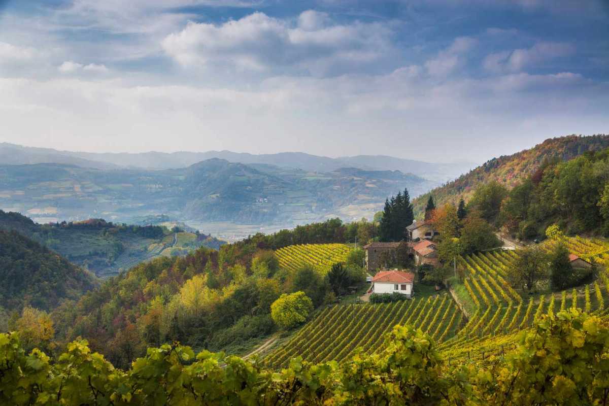 Panorama di Cuneo con le Alpi Marittime sullo sfondo