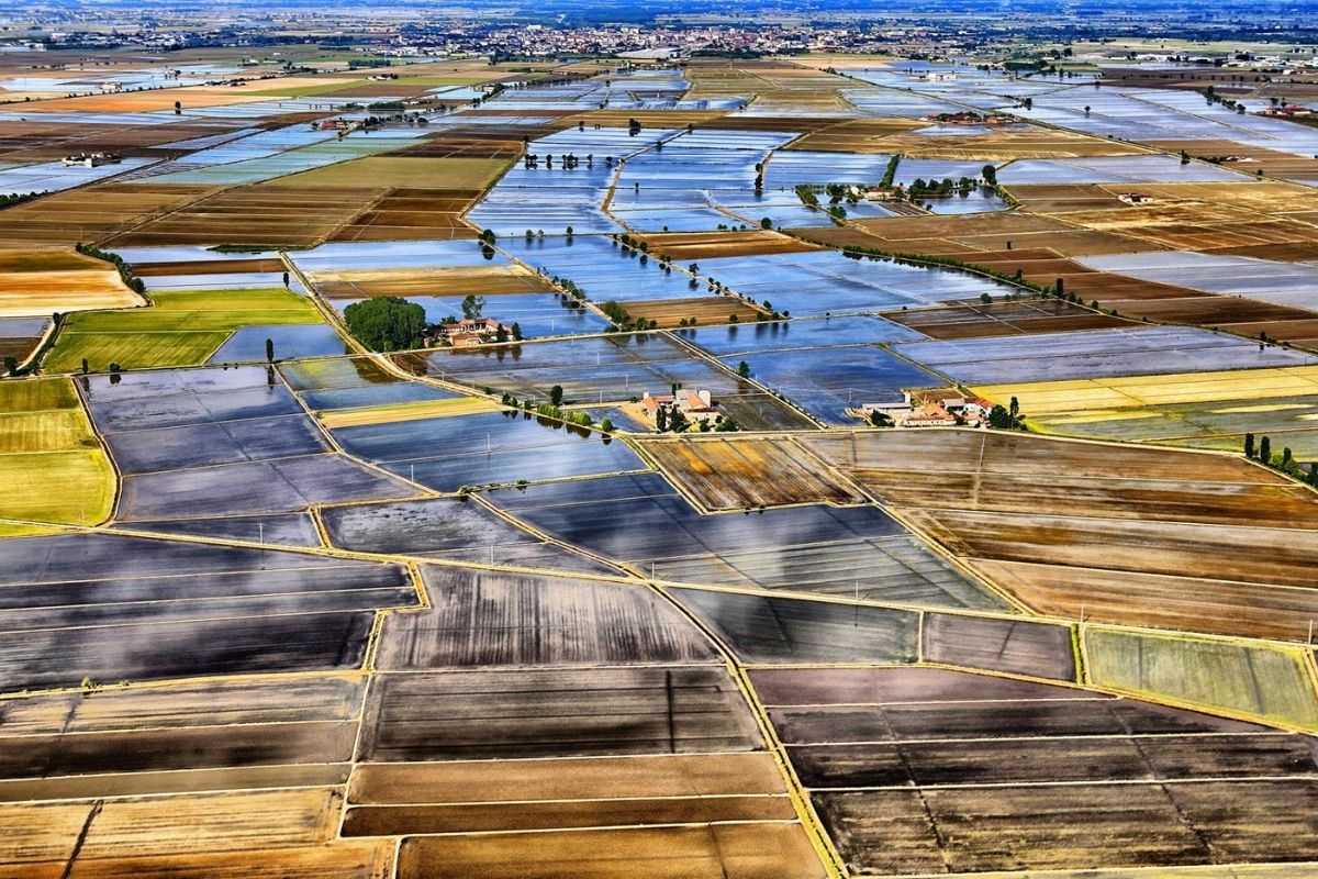 Vista panoramica delle risaie di Vercelli con cielo riflesso
