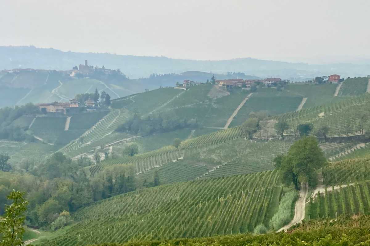 Escursionista in trekking tra i vigneti delle Langhe