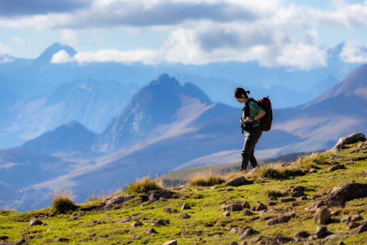 Un panorama delle colline intorno ad Alba, con vigneti e boschi.