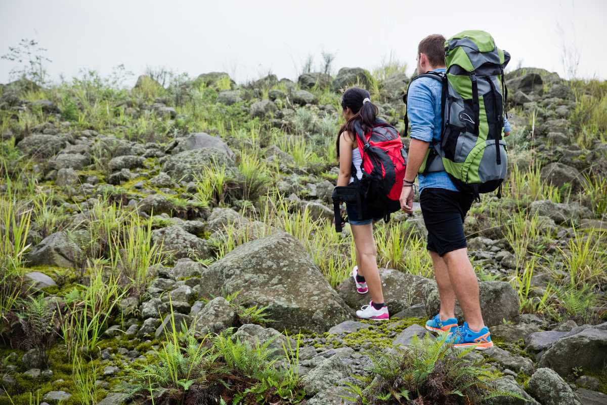 Panorama delle colline vitate intorno ad Asti