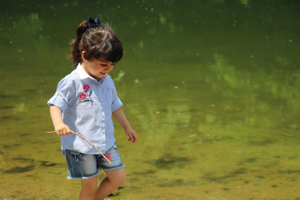 Vista panoramica di Verbania e del Lago Maggiore con giardini e spiagge