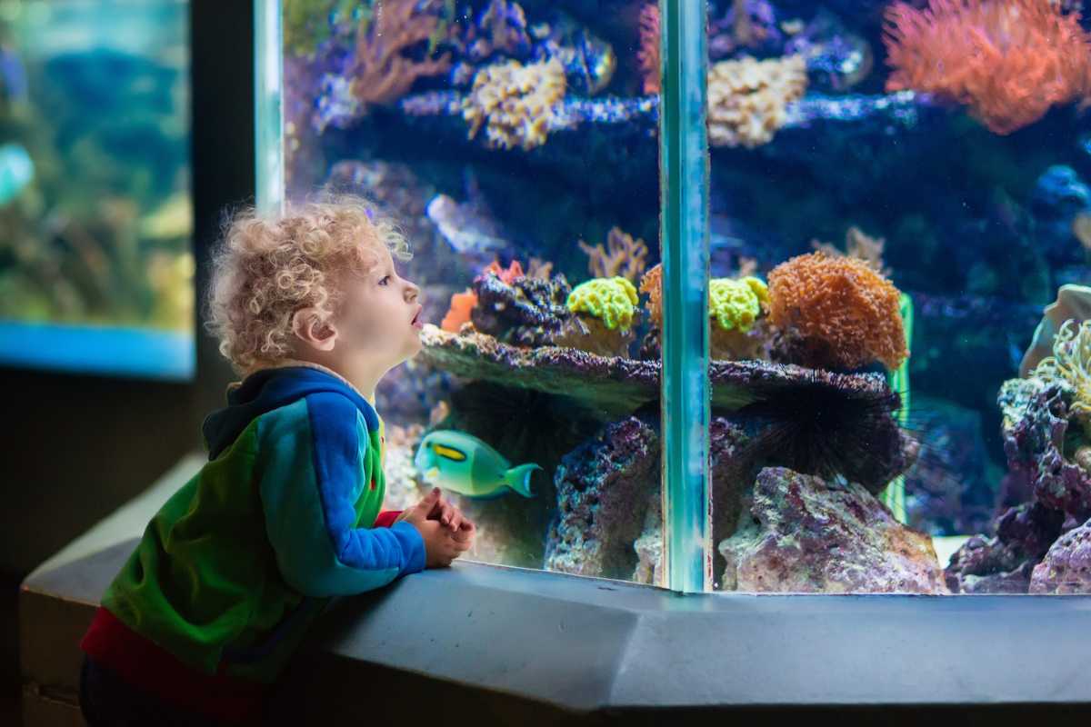 Acquario di Torino con bambini che osservano pesci tropicali