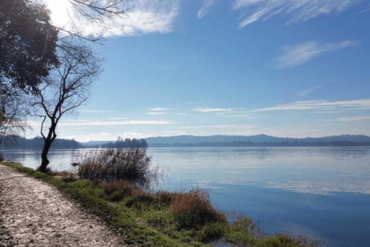 Bambini che giocano al parco con vista lago, includi Verbania