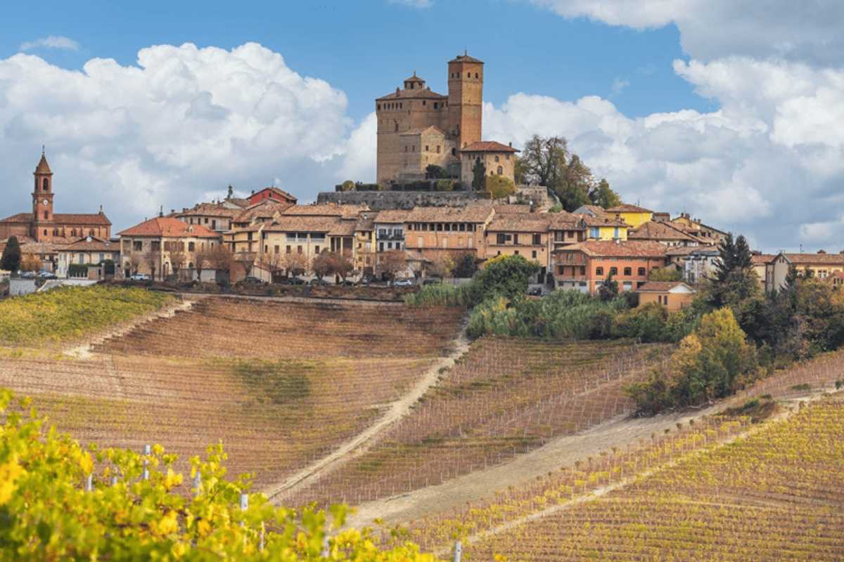 Interno di una cantina con bottiglie di Barolo e degustazione