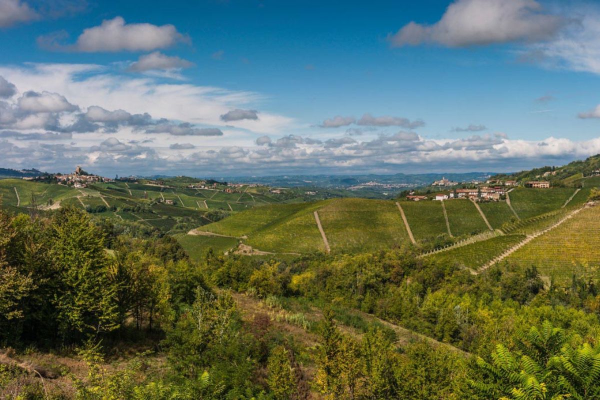 Panorama di Alba con i suoi vigneti e colline circostanti