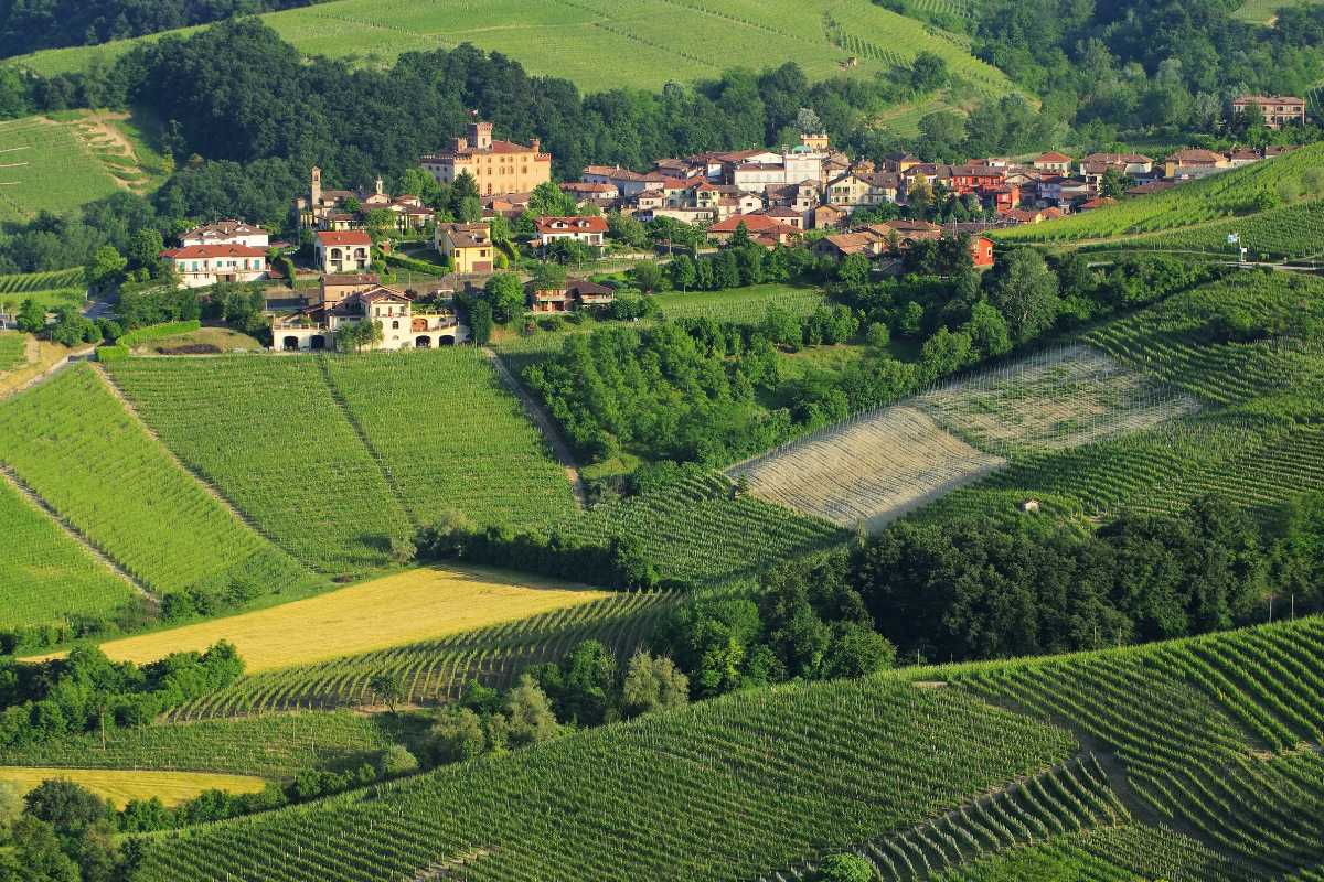 Vista panoramica delle colline di Langhe e Barolo, con vigneti e castelli
