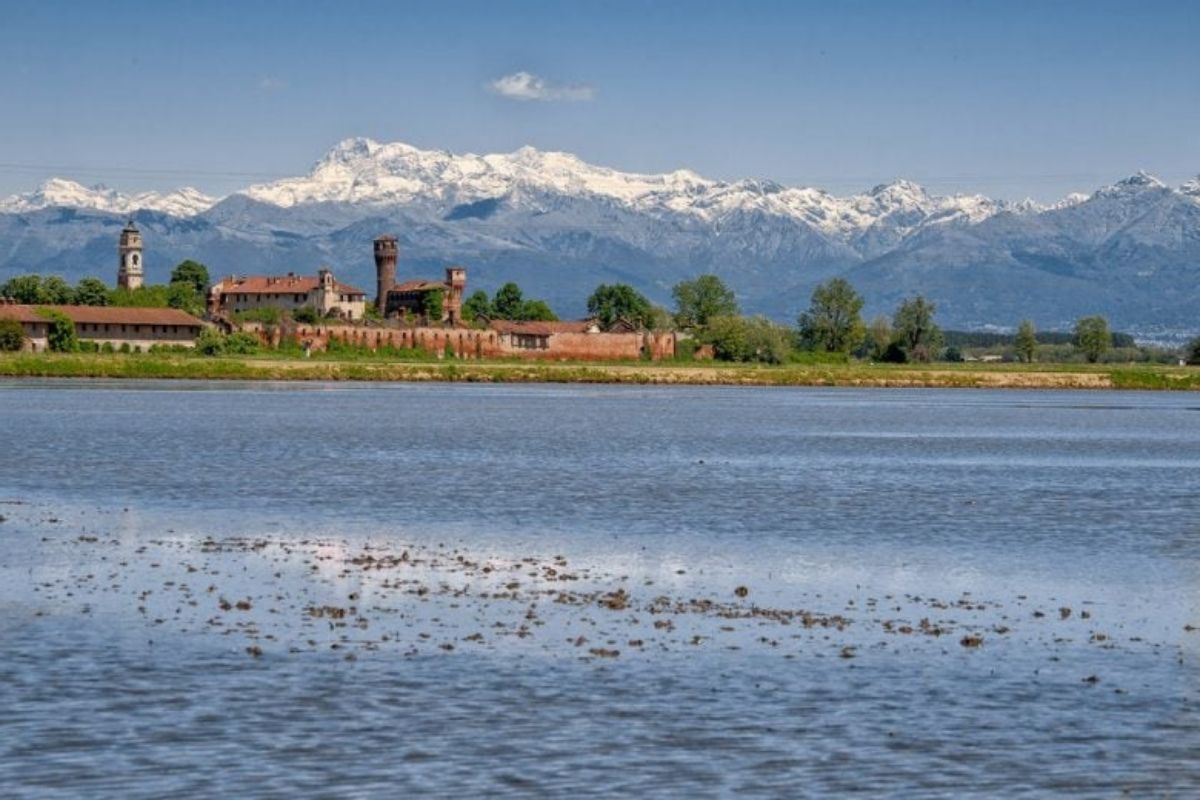 Vista panoramica delle risaie di Vercelli al tramonto, evidenziando i riflessi sull'acqua